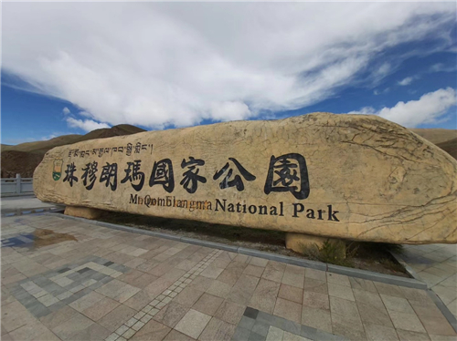 图片11.jpg