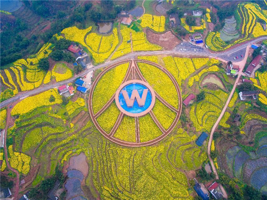 图片2.jpg
