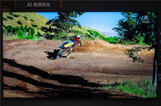 smallDSC_1253.webp.jpg
