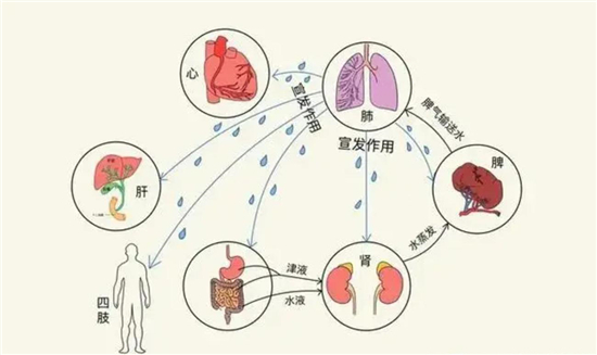 圖片3.jpg