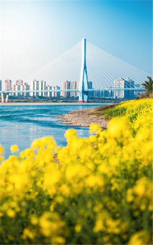 “大美宜宾 和美五粮”2024年度五粮液杯摄影大赛优秀作品展播