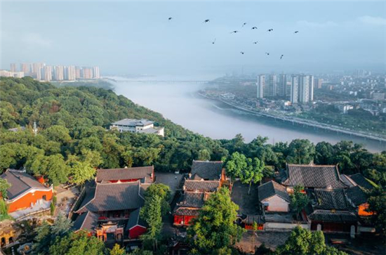 图片7.jpg