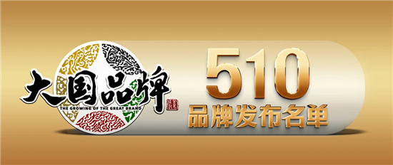 《大国品牌》510品牌发布名单引领中国品牌新高度 十大智慧城市雄