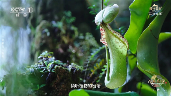 微信图片_202506250919461.jpg