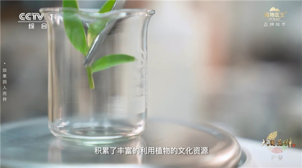 微信图片_202506250919464.jpg
